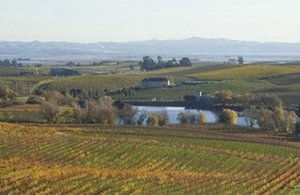 Sonoma